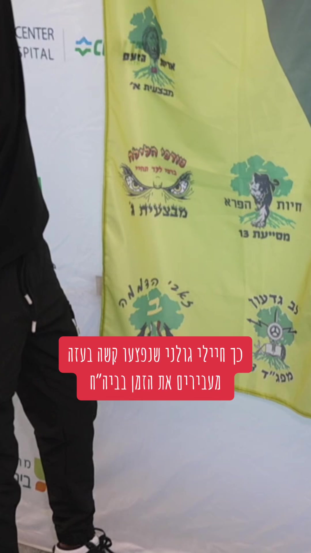 @יולן כהן yolan cohen