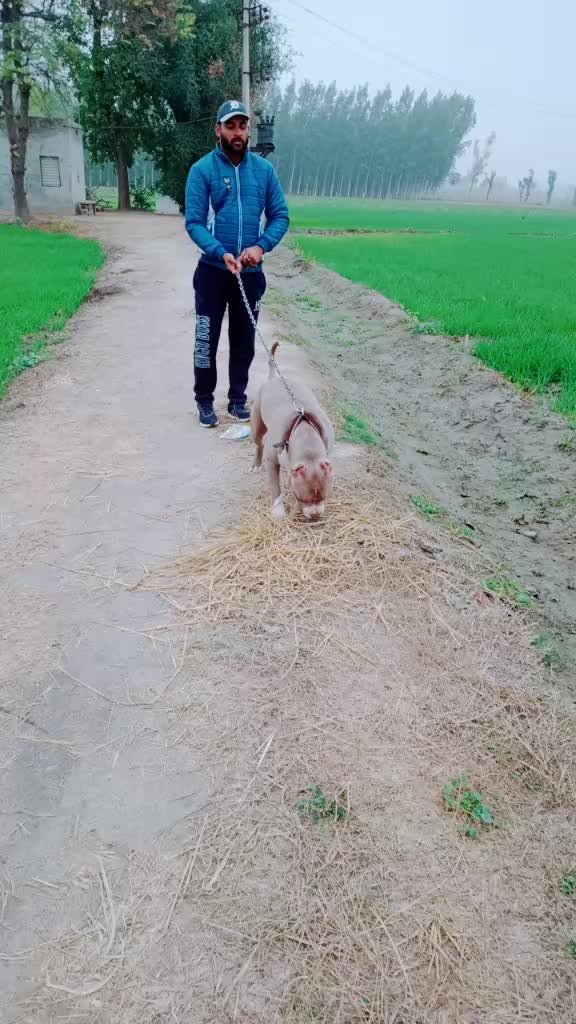 @user7841406370175