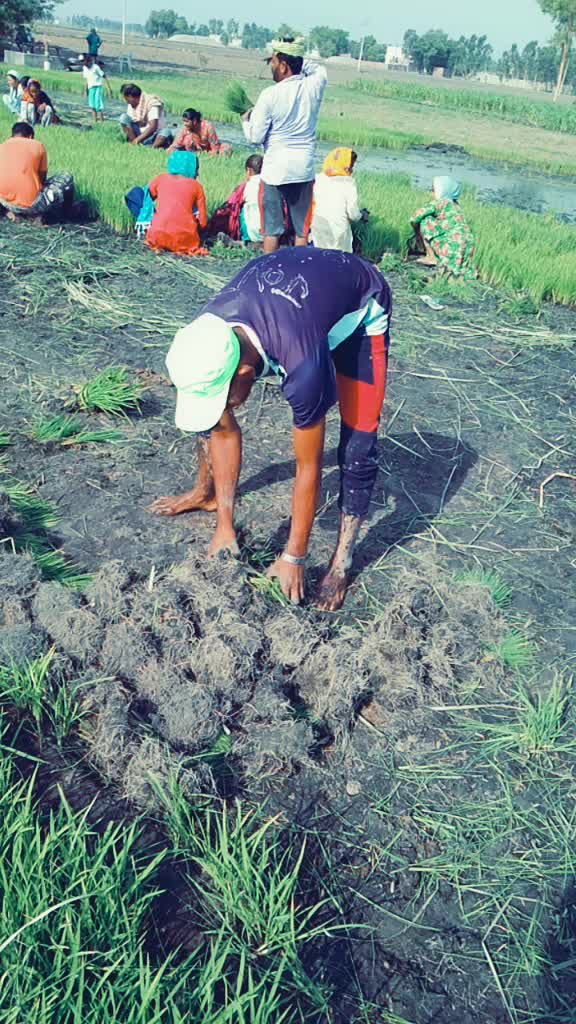 @joti Rai