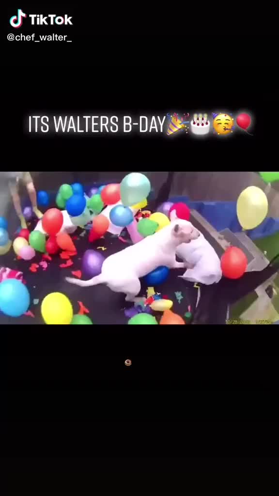 @😭😭😭😭🥳🥳🥳🥳🥳🥳🥳🐲🐲🐲👻