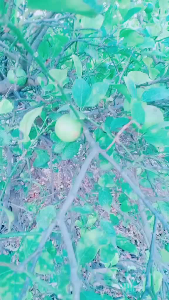 @Santhosh Kumar