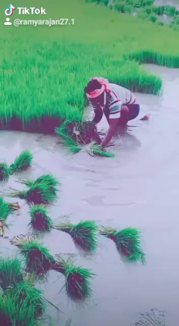 @RamyaRajan
