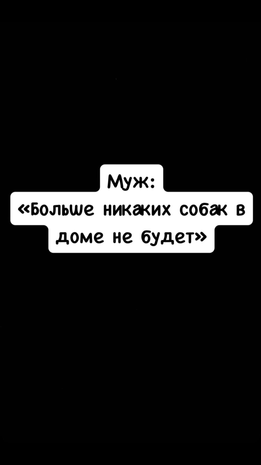@Tatiana Sachkova