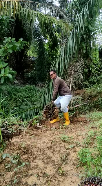 @RoHaIzAd_Rahim🇲🇾🇲🇾