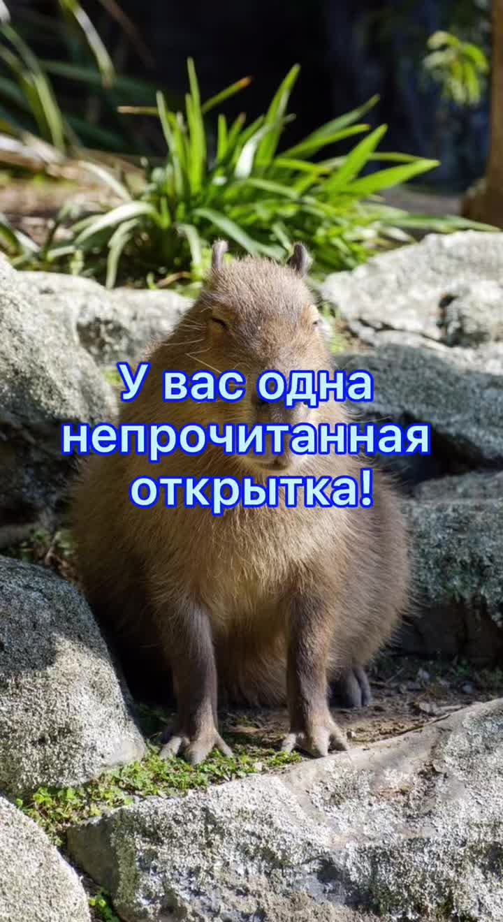 @GartonGatti