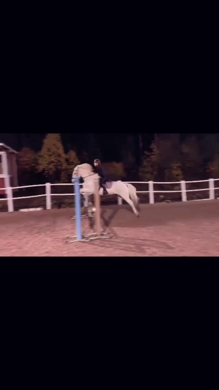 @𝐻𝒪𝑅𝒮𝐸𝐿𝐼𝐹𝐸💘
