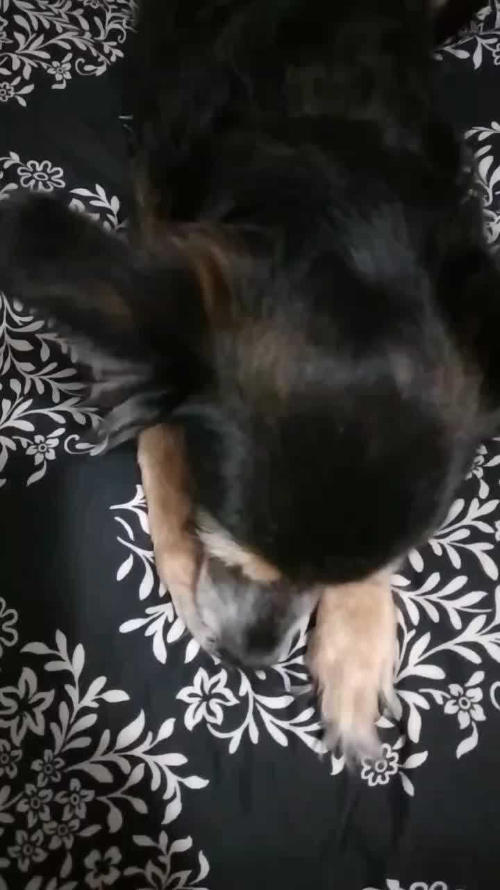 @ƊƠƓMЄƛƬ