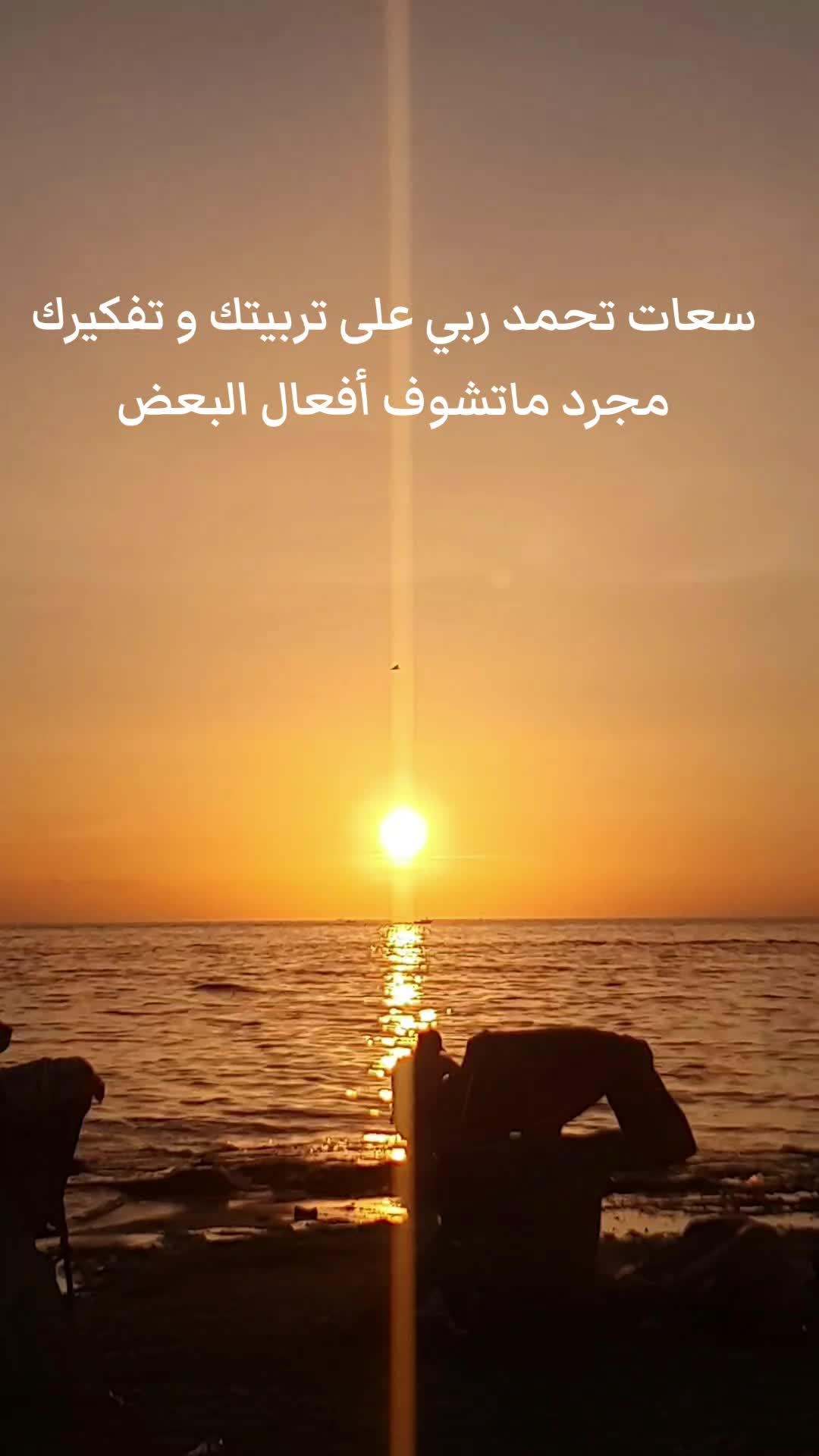 @💛🇩🇿anesseghier👑🦥