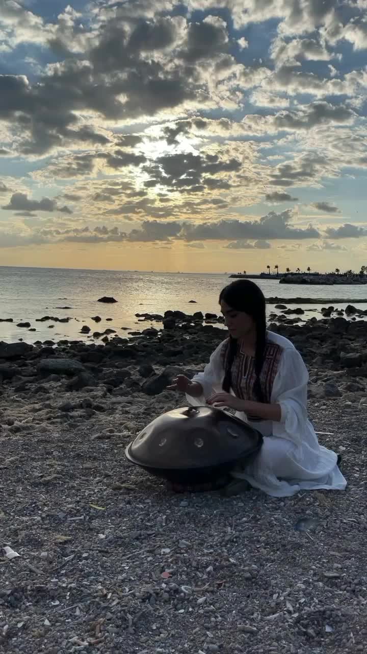 @Ramina Torabi