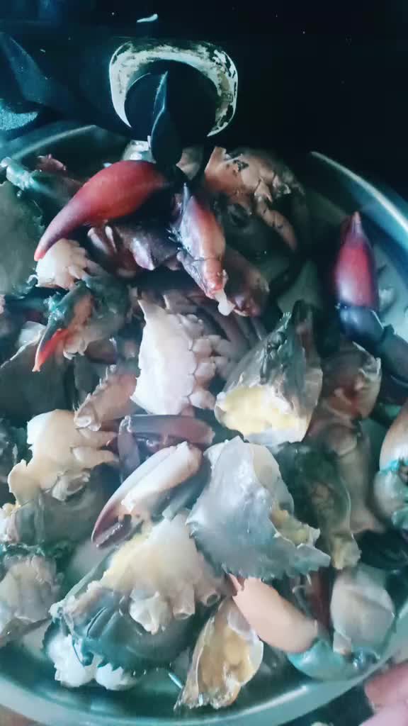 @poojapatil