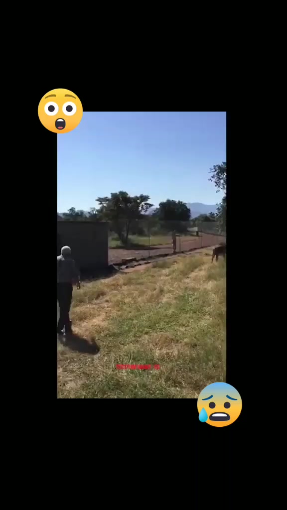 @Udgin