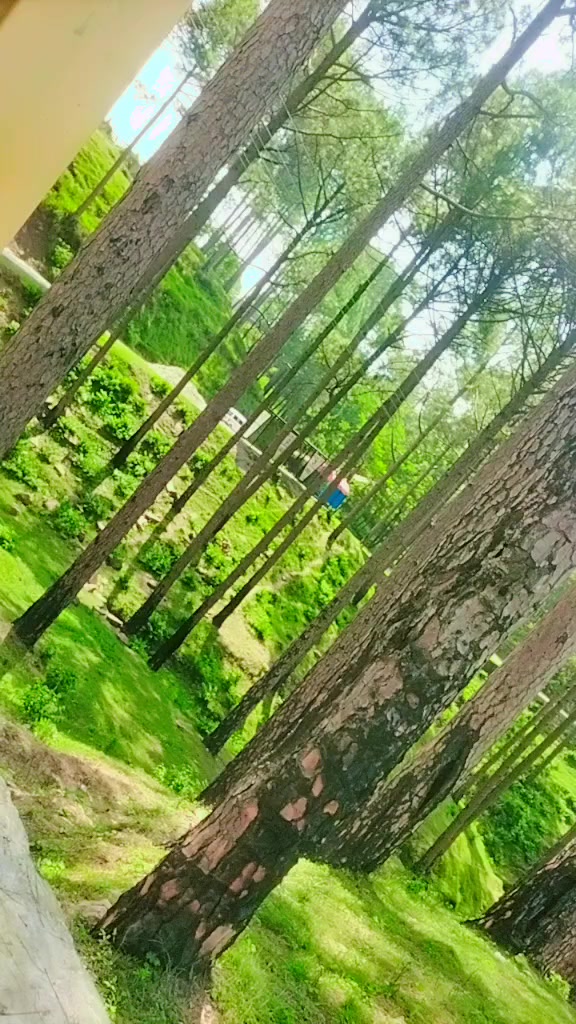 @dangaawalisarkar🏒🏑