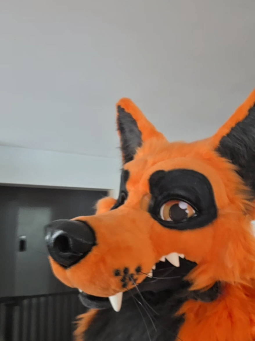@Grease Wolf