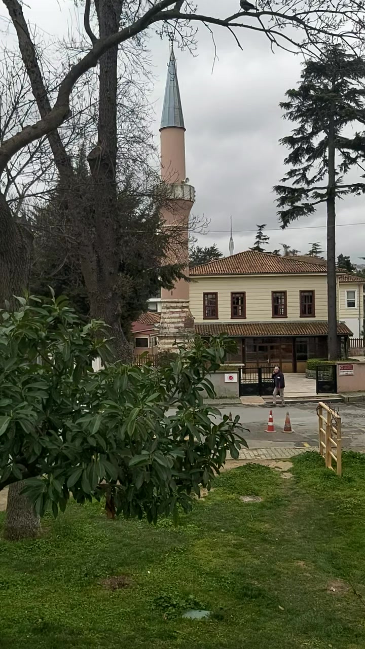 @LAZKizi❤️61💙53💚💙⚜️⚜️