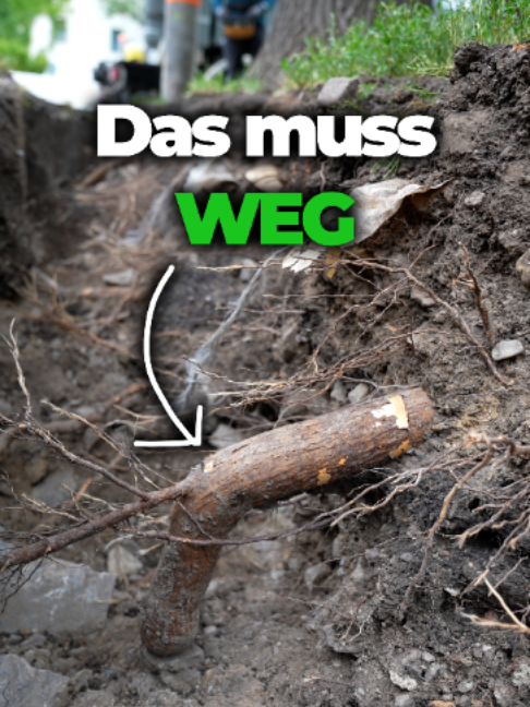 @BTS Gartenwerk Erfurt