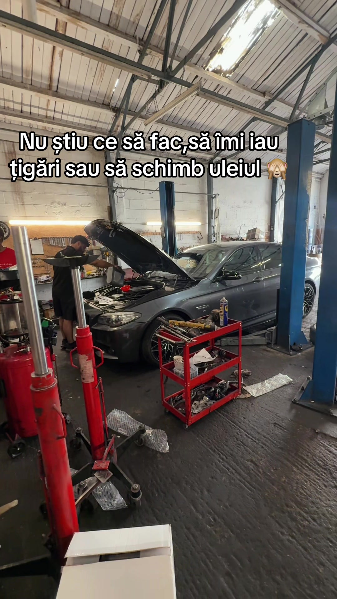 @Ionuț Grecu ❤️