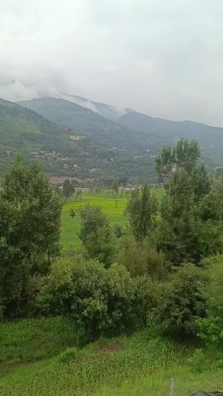 @AKhondi