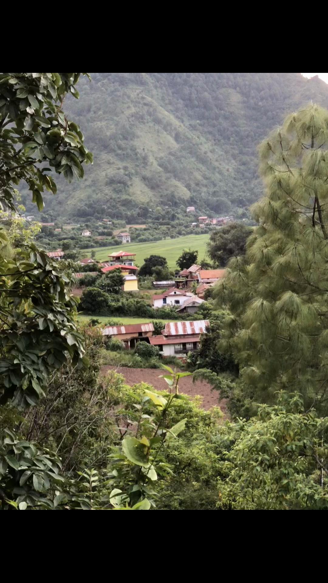 @damodarparajuli84
