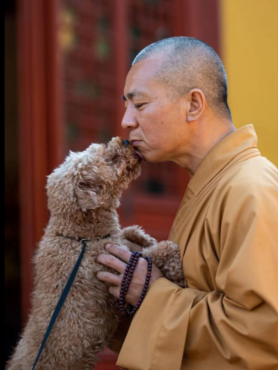 @Bao_En_Temple_animalrescue