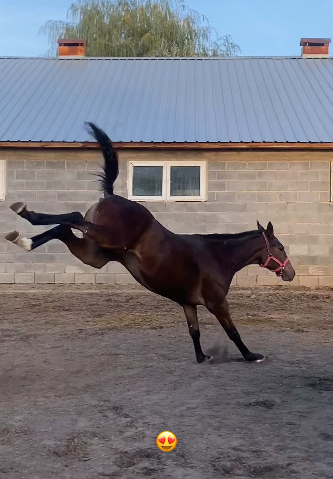 @jockey.hors