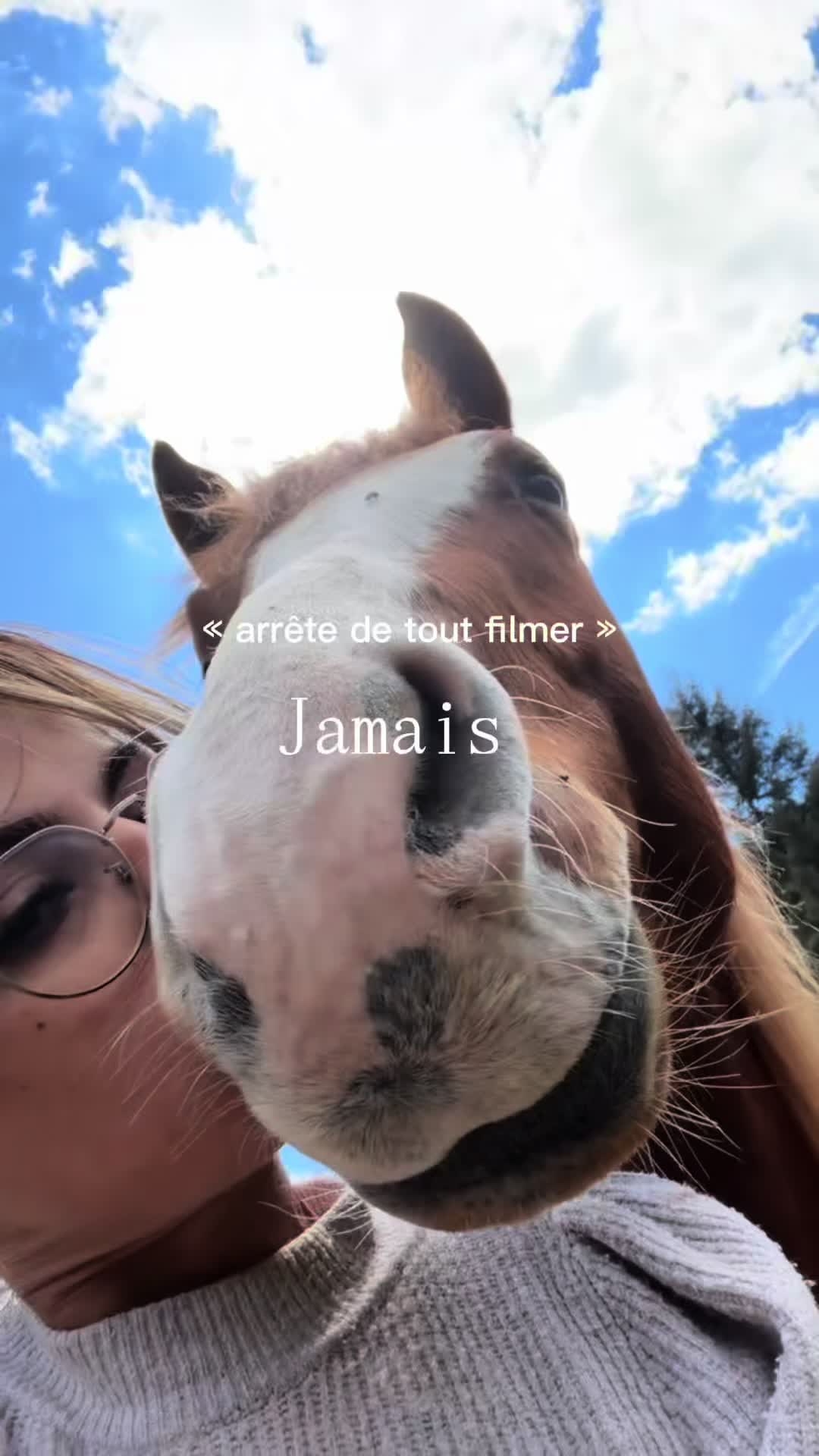 @lulu.et.sa.troupe