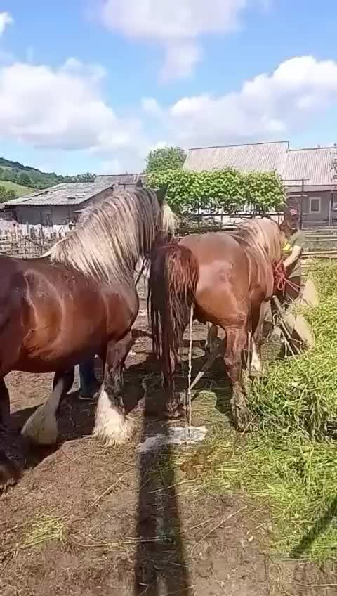 @DilKiPyas