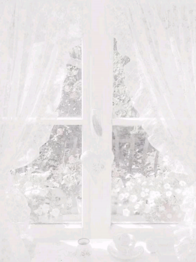 @๏น ๐ฃฒใ๐ผใ๐ฆ๐๐ซ๐ข๐ง โฃ .