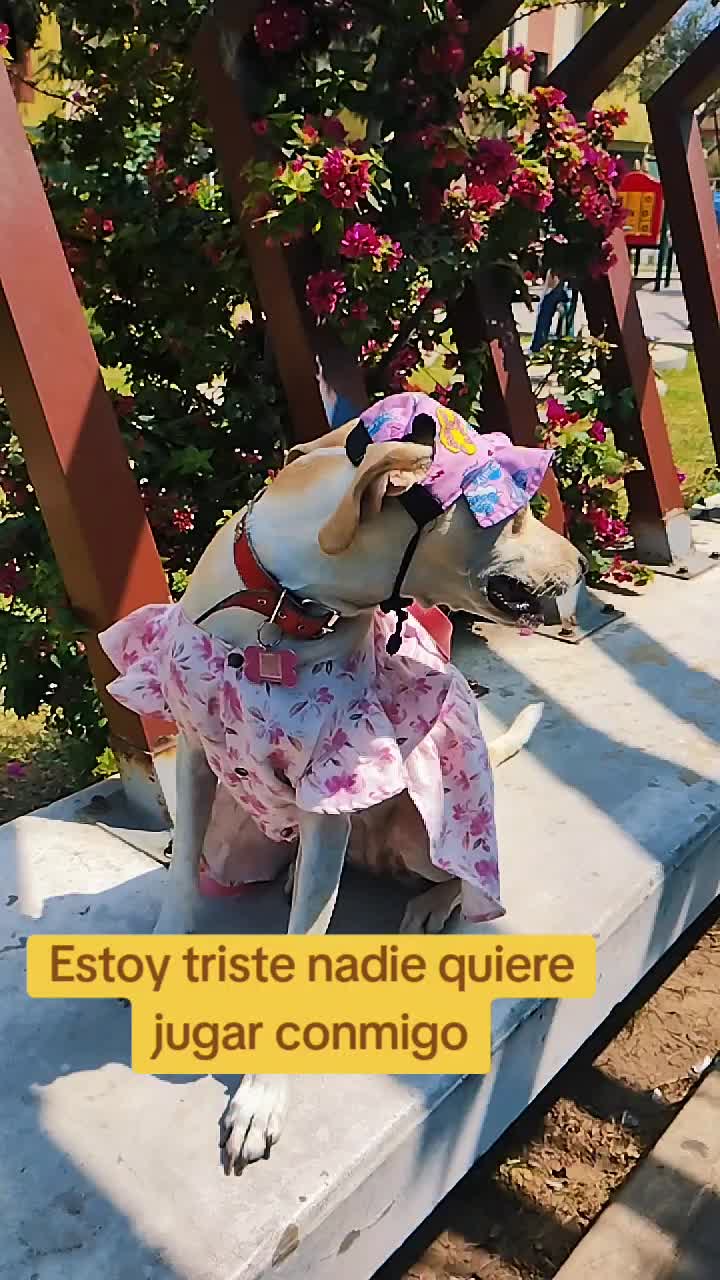 @winnie ❤🦮