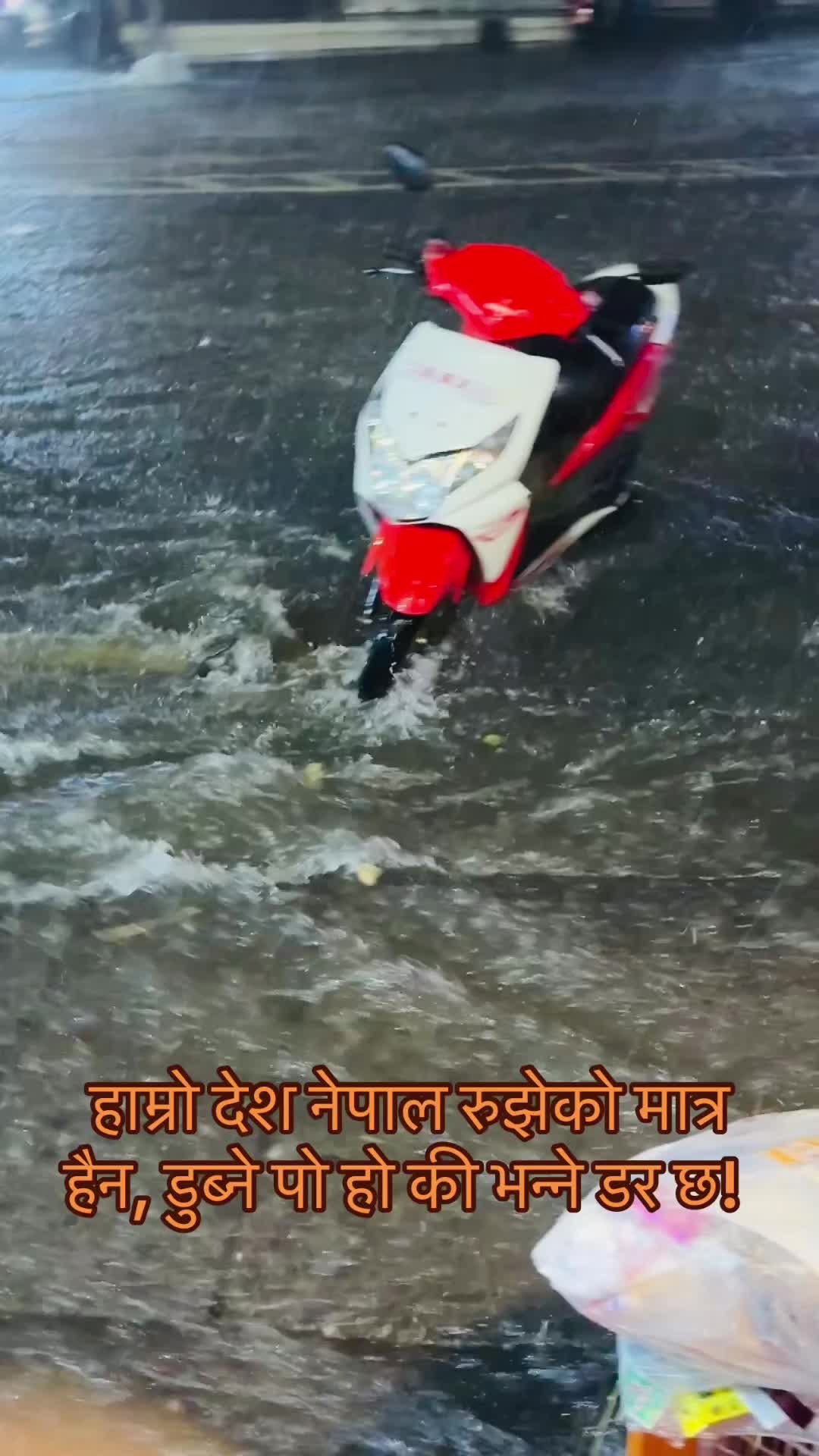 @स्वर्णकमल 🪷