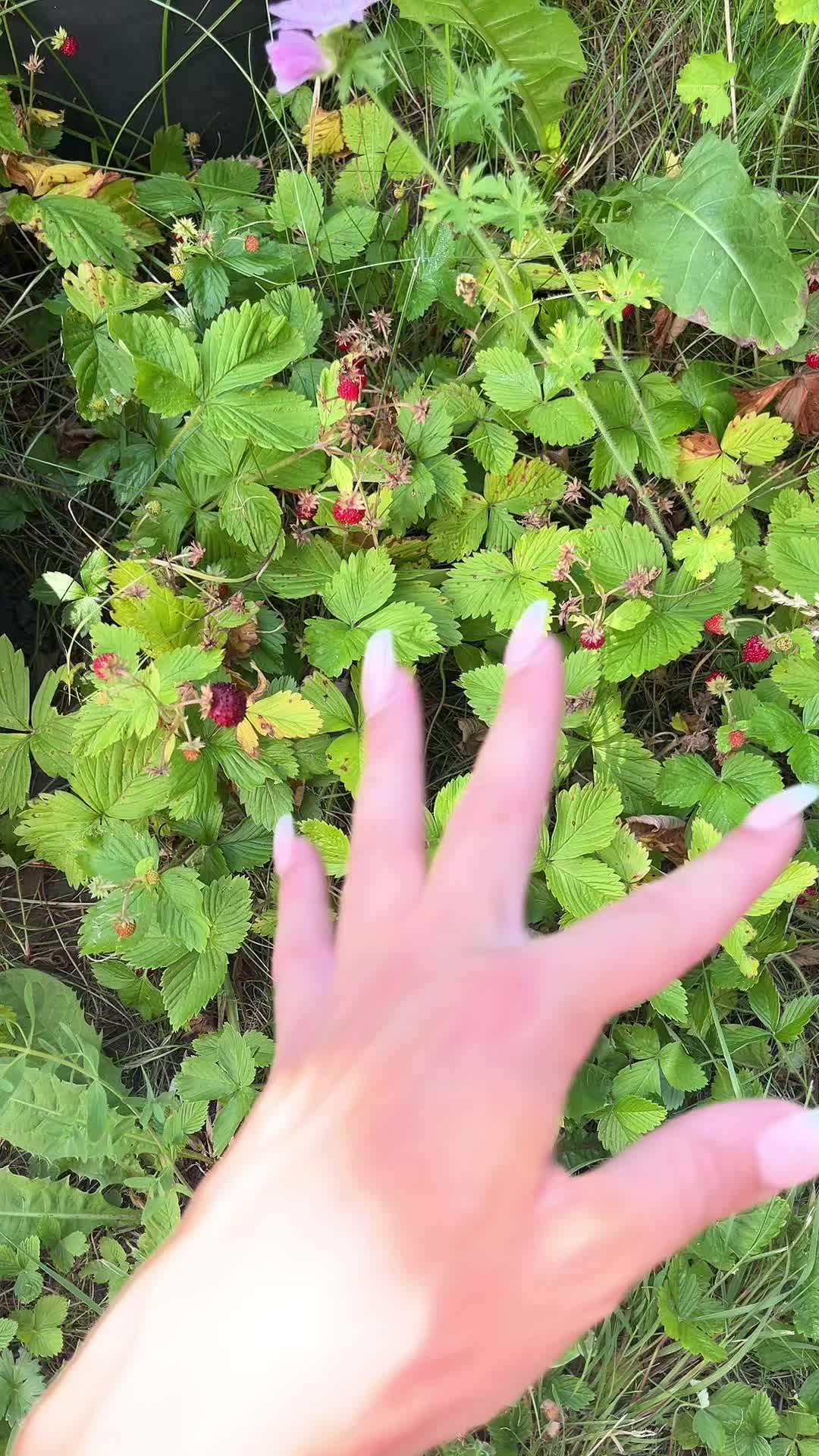 @PotatoGirl