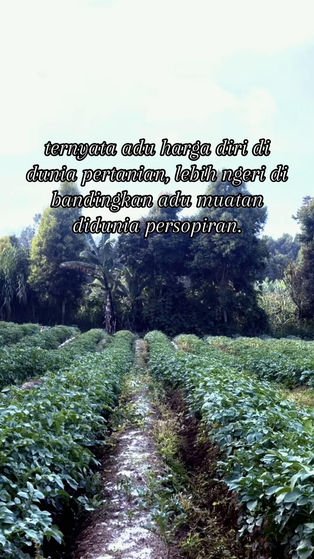 @nanda_setiawan_