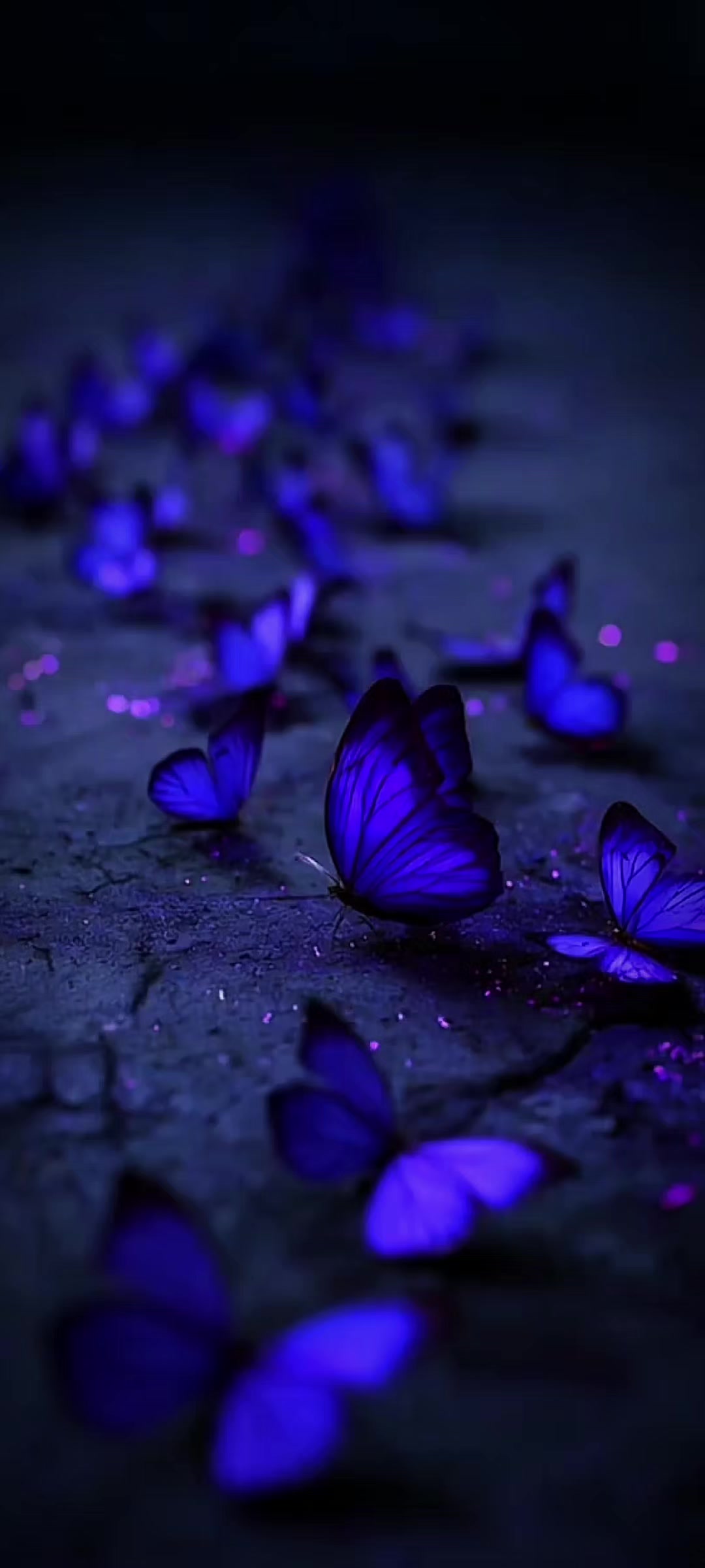 @Live wallpaper