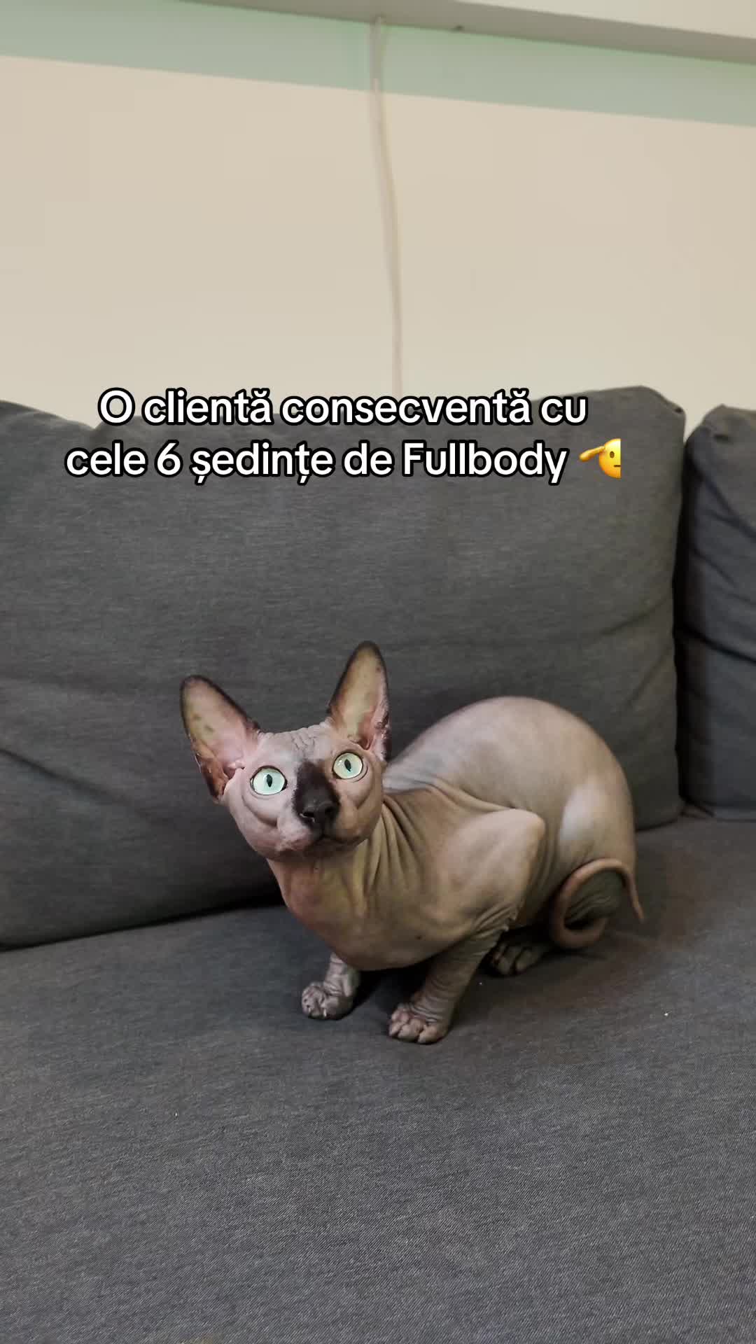 @Welisssaa