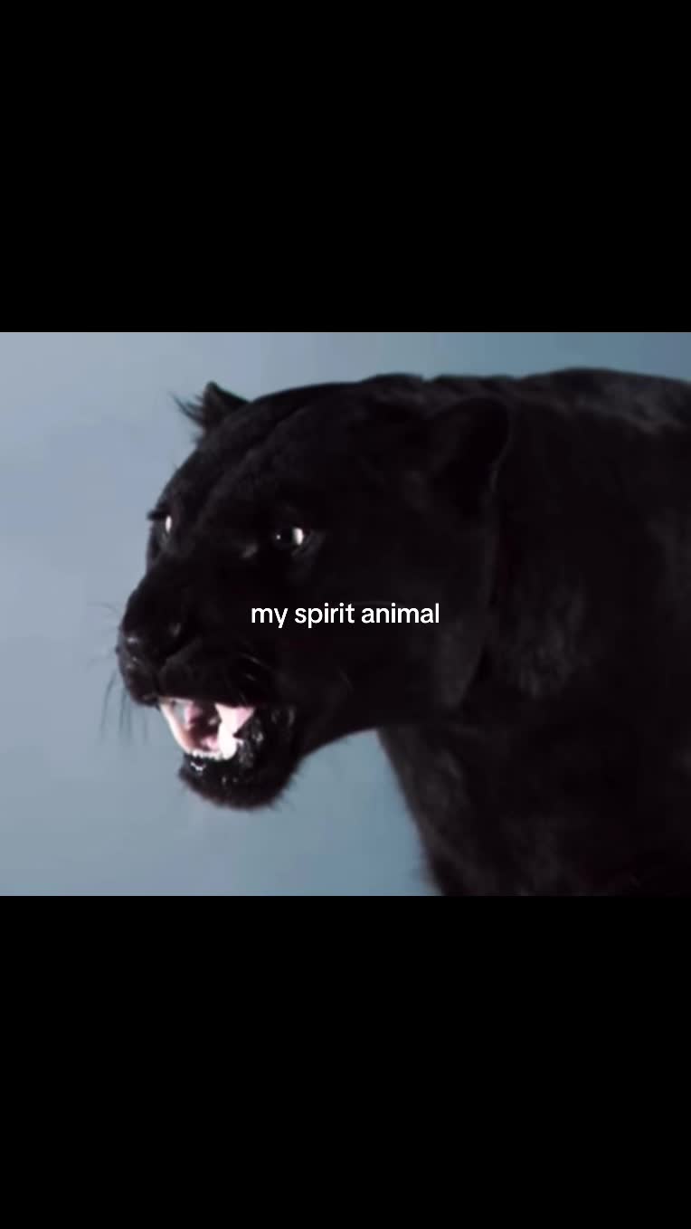 @𝙘𝙭𝙨𝙝