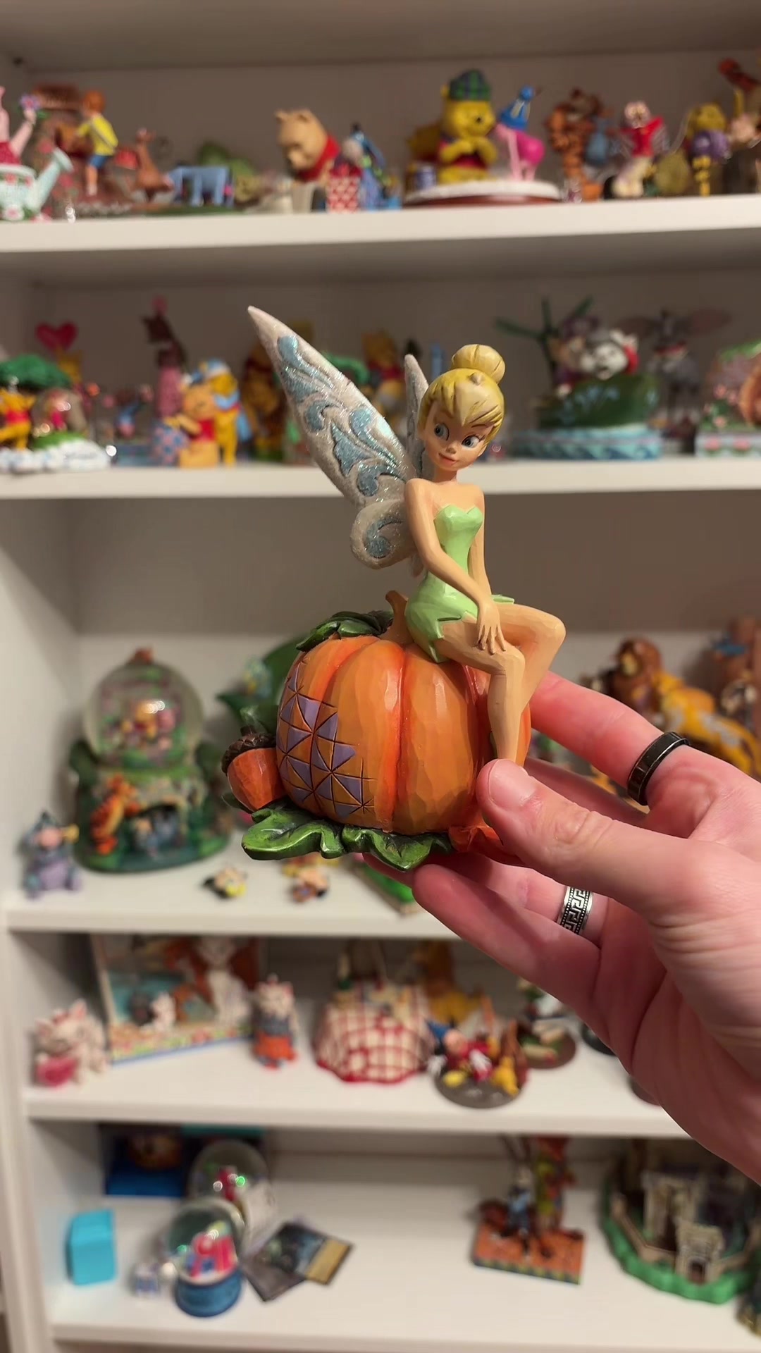 @The Magical Collector ✨️