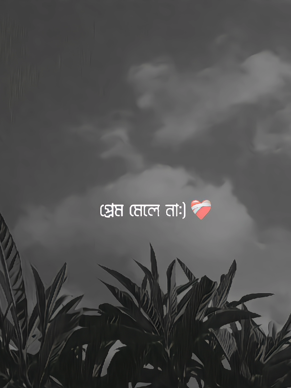 @10%🌸
