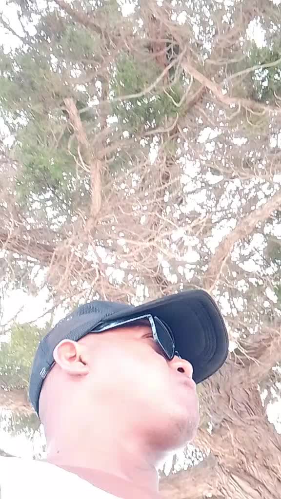 @Sebastiao Nogueira Da Costa