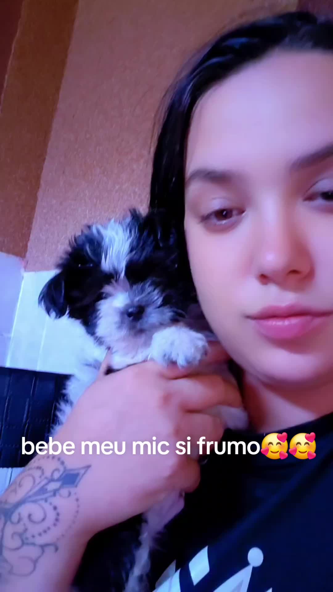 @Tigroaica lui Mona Meier