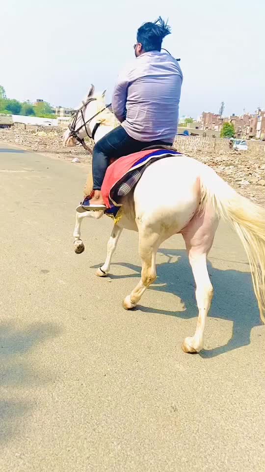 @Sam Rap King 🇮🇳
