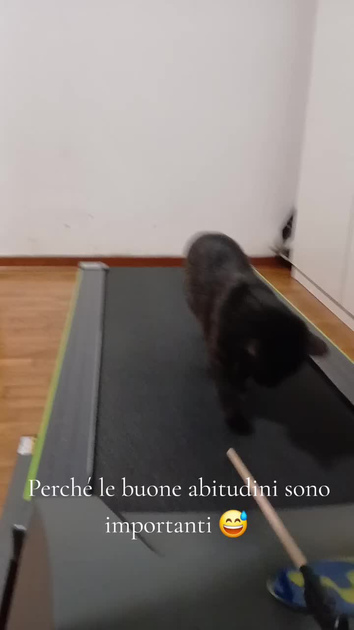 @Susy22