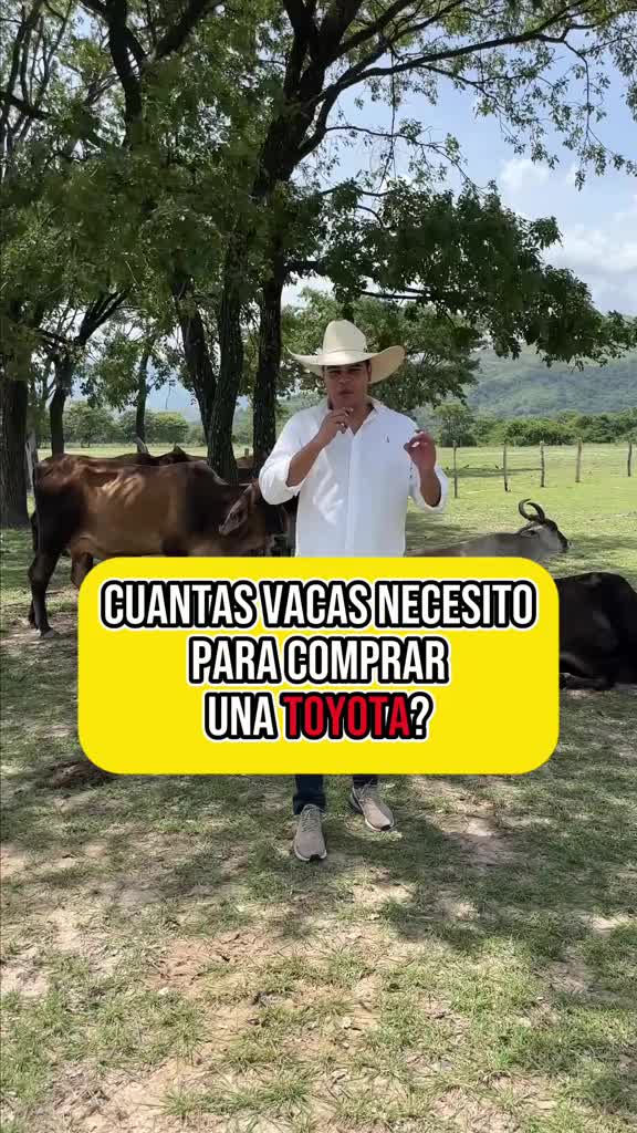 @El médico de tus finanzas