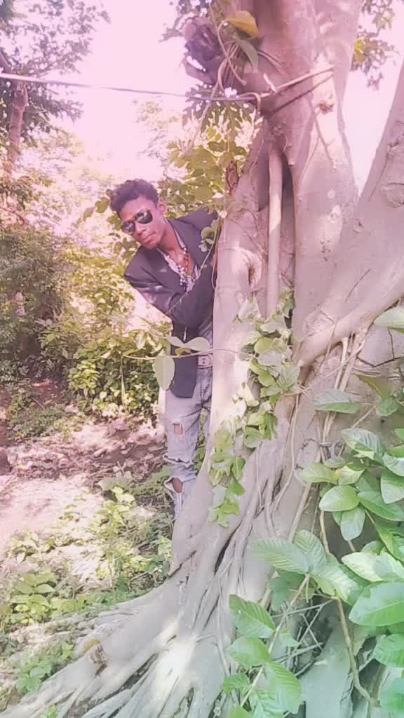 @sidhantapatra720