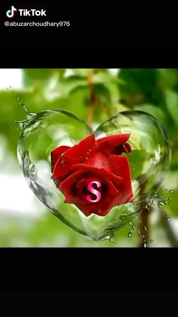 @user4024808323376