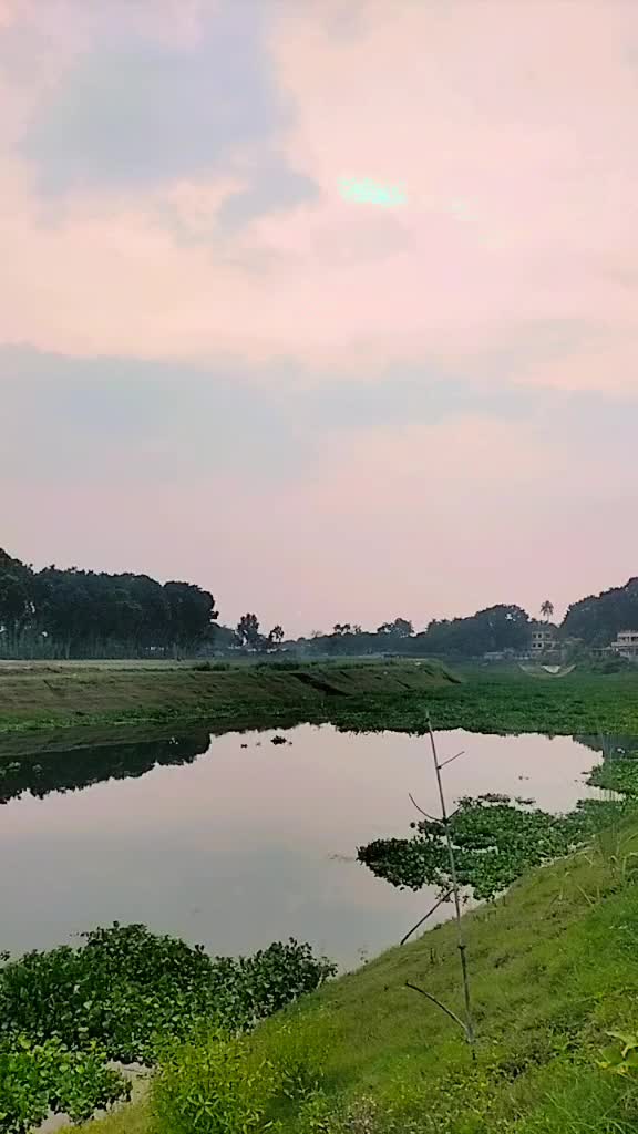 @Masud Rana