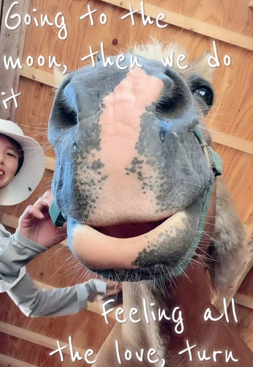 @ðŠPOPOïŸïœ¬ïŸðððð
