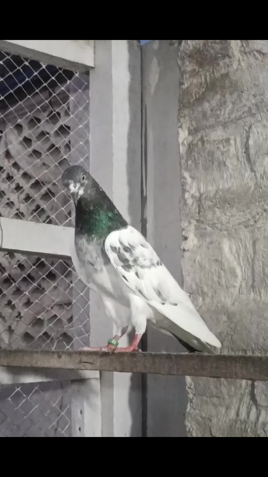 @آفتاب رانا۰۰(میانوالی)
