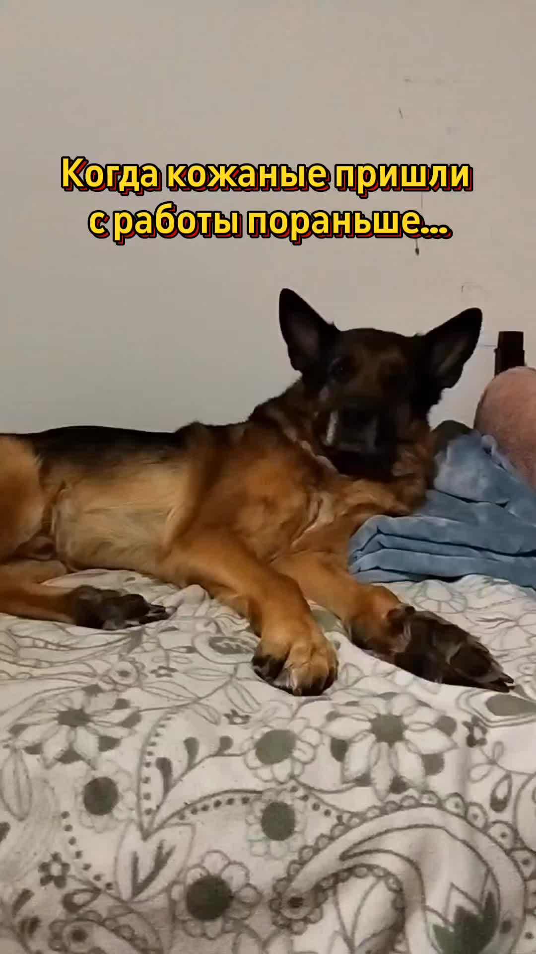 @oskar_mrpl