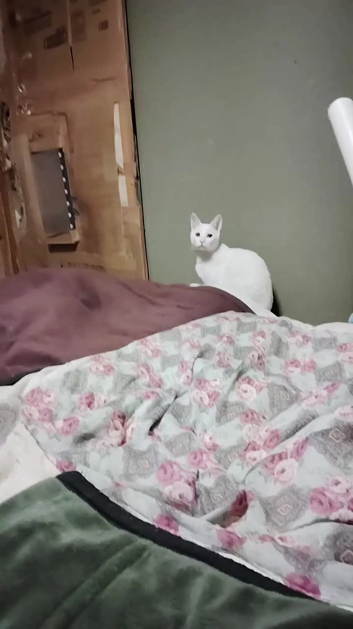 @遊喜