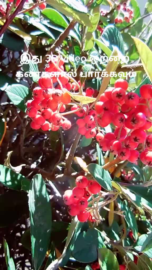 @Krish Krishna