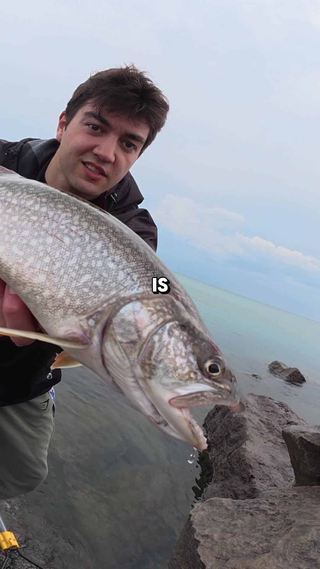 @JlangFishing